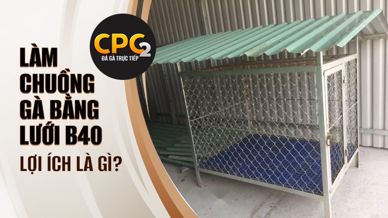 Lợi ích của cách làm chuồng gà bằng lưới B40