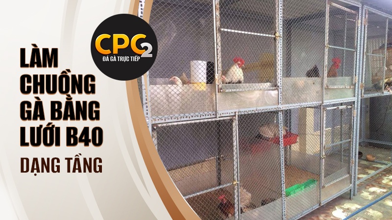 Cách làm chuồng gà bằng lưới B40 dạng chuồng tầng