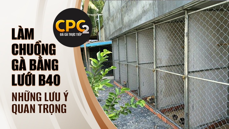 Những lưu ý quan trọng khi làm chuồng gà bằng lưới B40