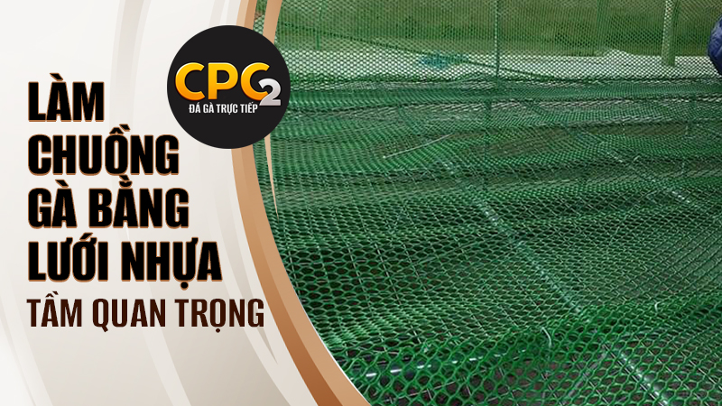 Sự quan trọng của chuồng gà trong quá trình nuôi