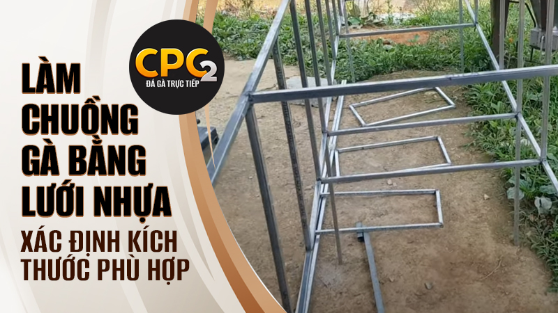 Xác định kích thước và thiết kế chuồng phù hợp trong cách làm chuồng gà bằng lưới nhựa