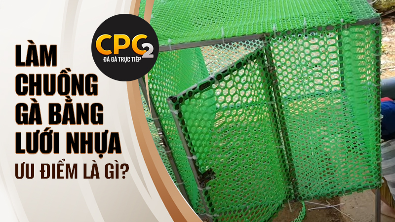 Lợi ích của cách làm chuồng gà bằng lưới nhựa