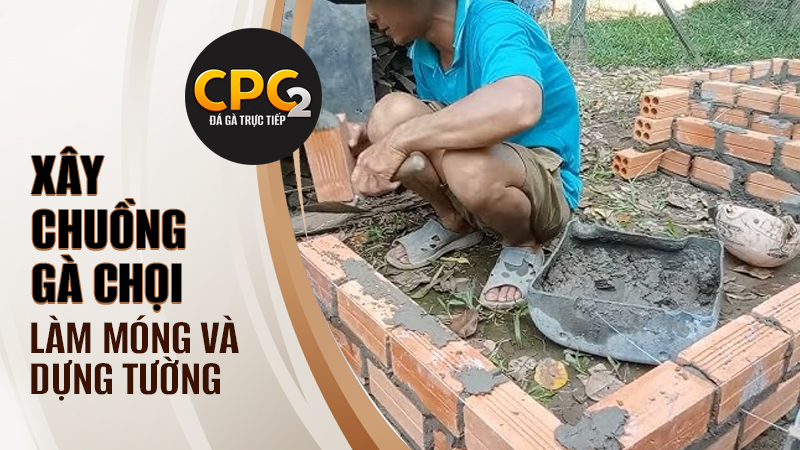 Làm móng và dựng tường xây chuồng gà chọi bằng gạch