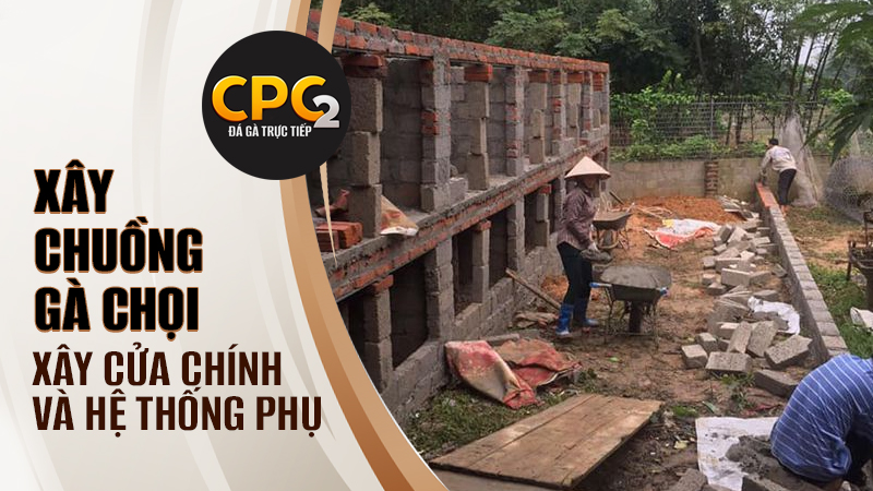 Xây cửa chính và các hệ thống phụ trợ trong xây chuồng gà chọi bằng gạch