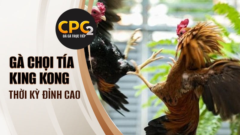 Thời kì đỉnh cao làm nên tên tuổi của Tía King Kong