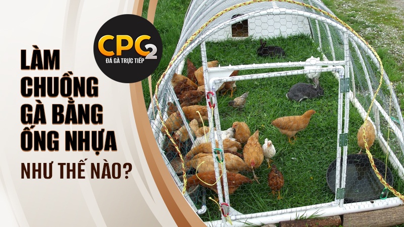 Mô hình làm chuồng gà bằng ống nhựa là gì?