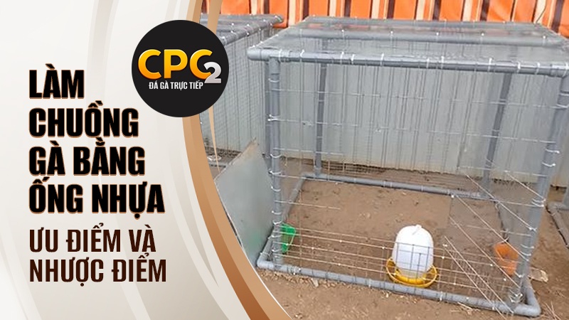 Ưu điểm và nhược điểm của việc làm chuồng gà bằng ống nhựa