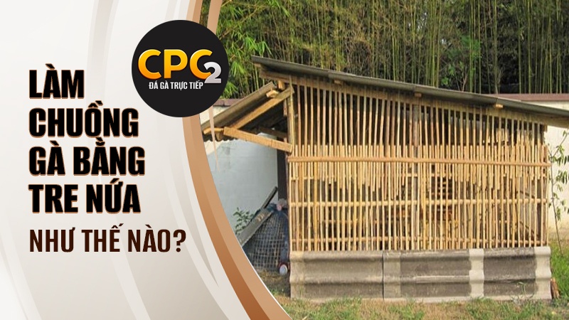 Làm chuồng gà bằng tre là như nào?