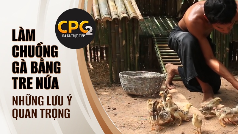 Một số lưu ý quan trọng khi làm chuồng gà bằng tre 