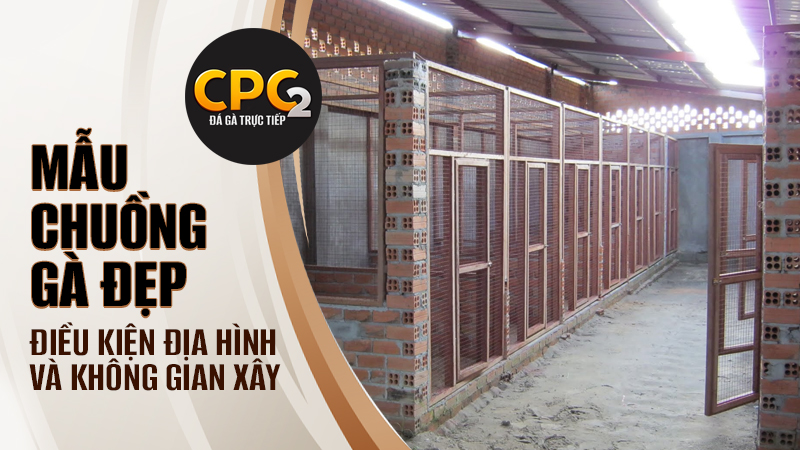 Điều kiện địa hình và không gian để xây dựng chuồng gà đẹp