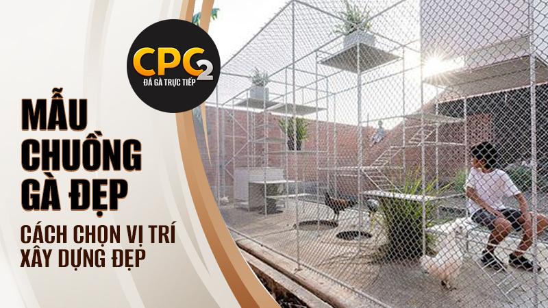 Chọn vị trí phù hợp cho mẫu chuồng gà đẹp trong khuôn viên