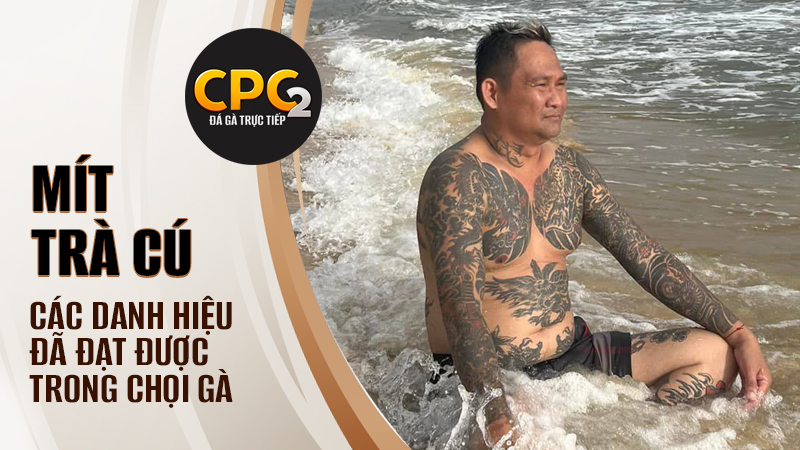 Danh hiệu mà Mít Trà Cú đạt được trong sự nghiệp