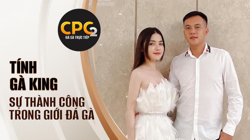 Sự thành công và giàu có của Tính Gà King trong giới đá gà Việt Nam