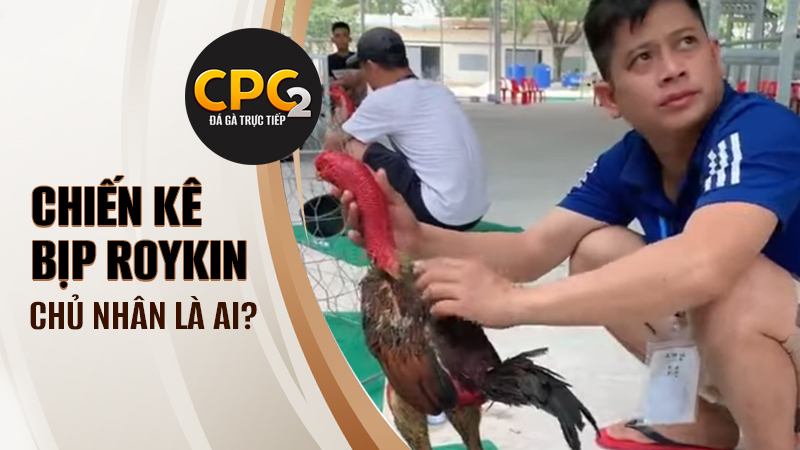 Chủ nhân thực sự của Bịp Roykin