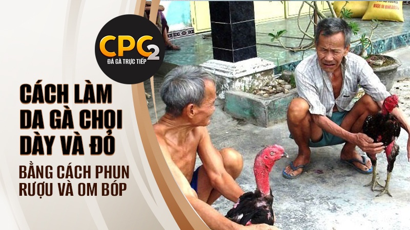 Cách làm da gà chọi dày và đỏ bằng phun rượu và om bóp