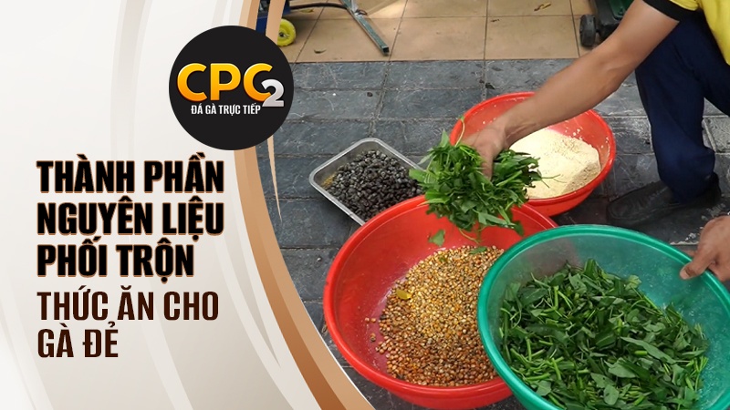 Những thành phần nguyên liệu cần có trong cách phối trộn thức ăn cho gà đẻ