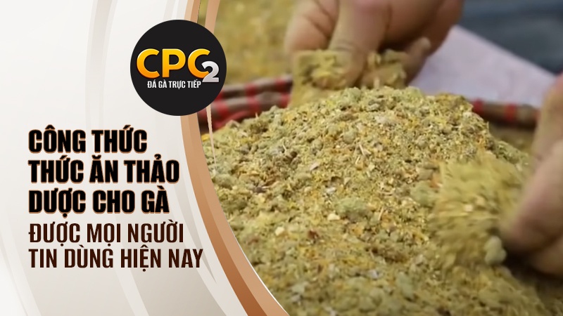 Công thức thức ăn thảo dược cho gà được mọi người tin dùng hiện nay