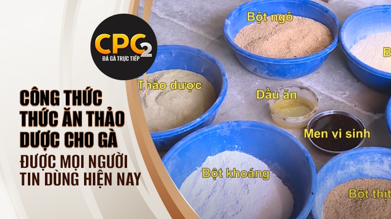 Chia sẻ những bài học từ việc áp dụng công thức thức ăn thảo dược cho gà