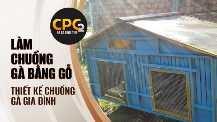 Làm chuồng gà bằng gỗ | Thiết kế chuồng gà gia đình