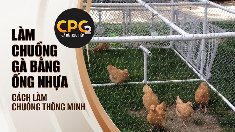 Làm chuồng gà bằng ống nhựa | Cách làm chuồng gà thông minh