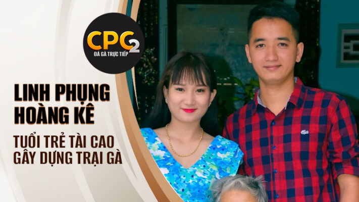 Sư kê Linh Phụng Hoàng Kê | Tuổi trẻ tài cao gây dựng trại gà